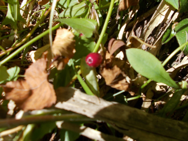 c0219866_14071508.jpg