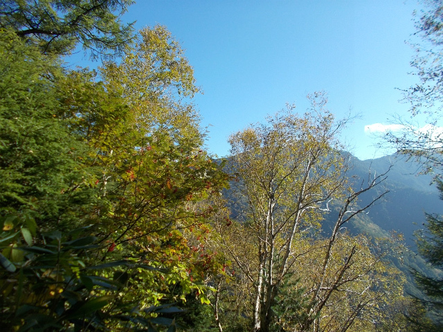 c0219866_14075377.jpg