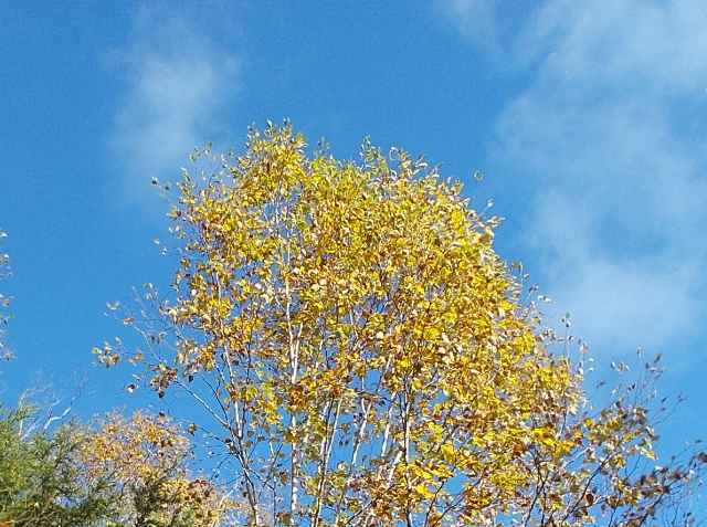 c0219866_14082506.jpg