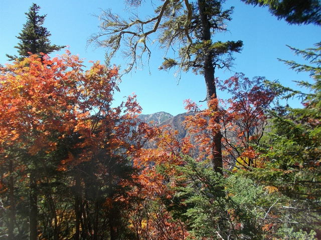 c0219866_14211029.jpg