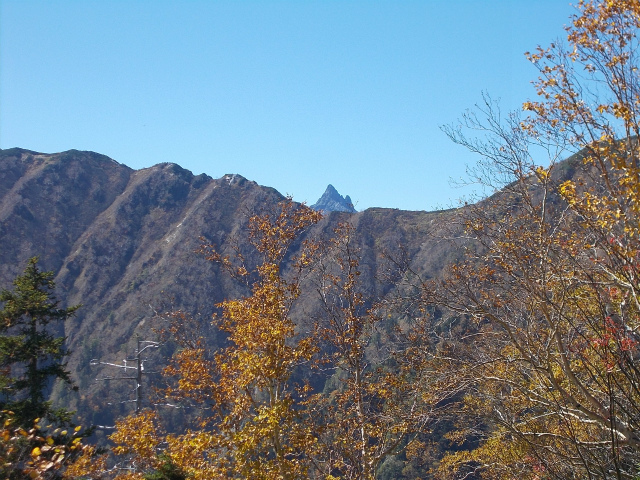 c0219866_14254362.jpg