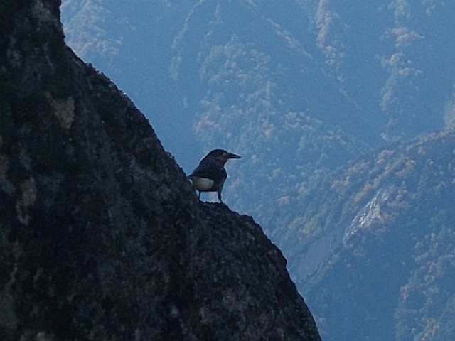 c0219866_14391089.jpg