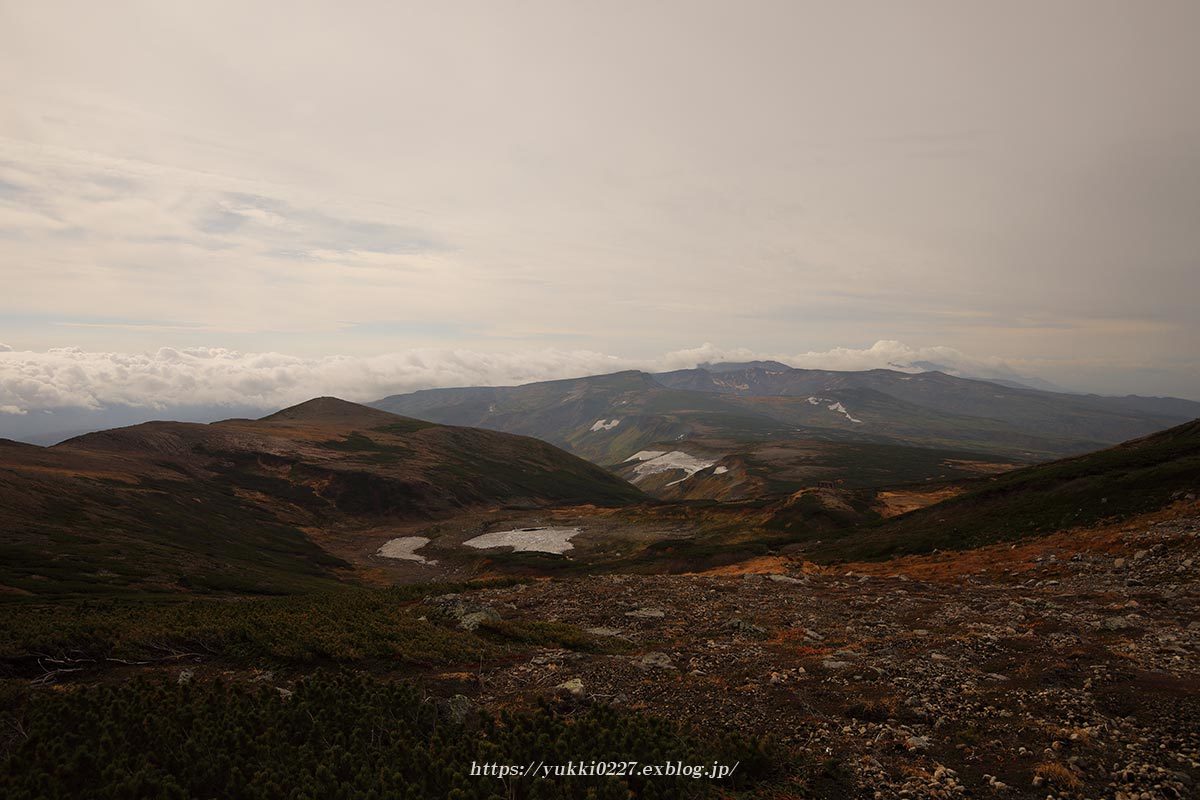 f0054366_10564834.jpg