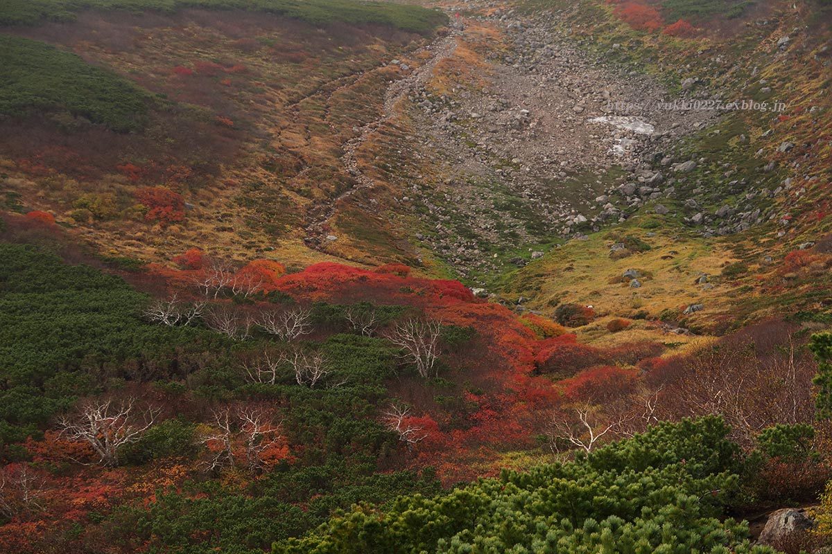f0054366_10570120.jpg