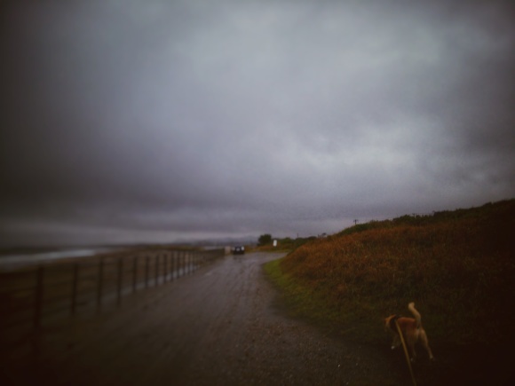 f0376072_20162034.jpeg