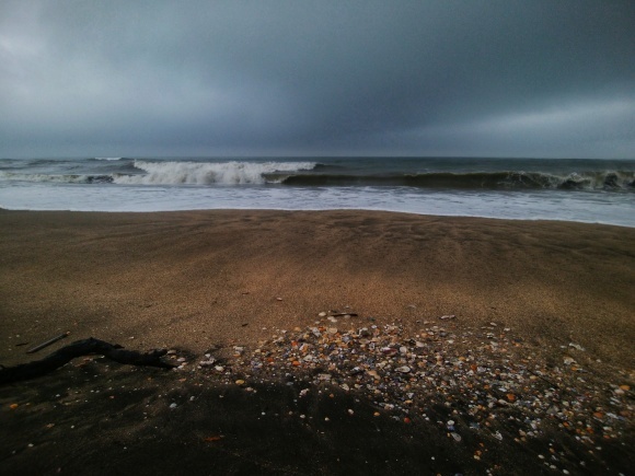 f0376072_20164018.jpeg