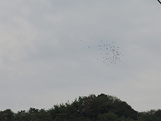 b0057675_23133025.jpg