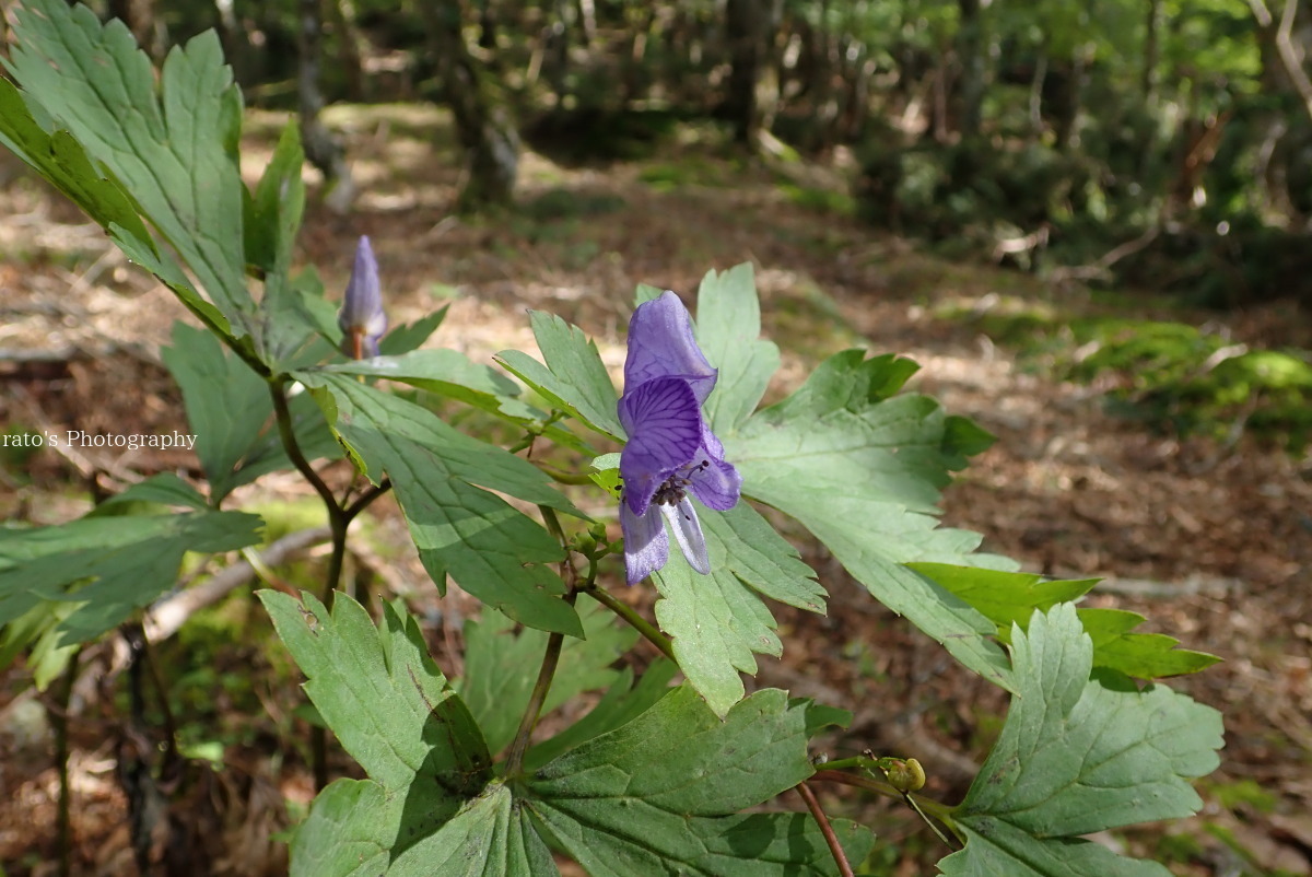f0236776_17414380.jpg