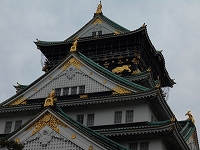 f0222378_8552436.jpg