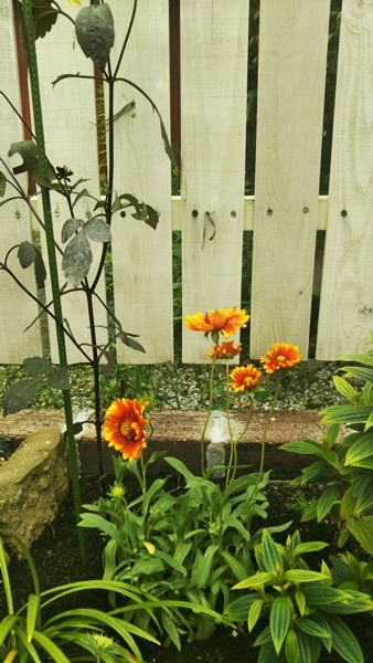 f0366679_15224266.jpg
