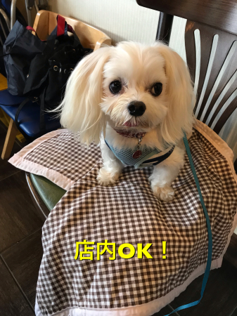 b0193480_16094270.jpeg