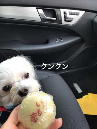 b0193480_16103428.jpeg