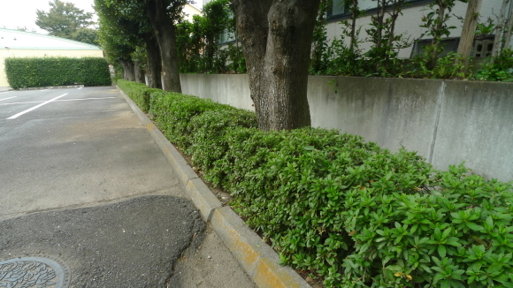 c0212083_17150916.jpg