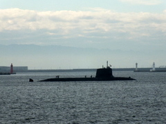 b0192588_85292.jpg
