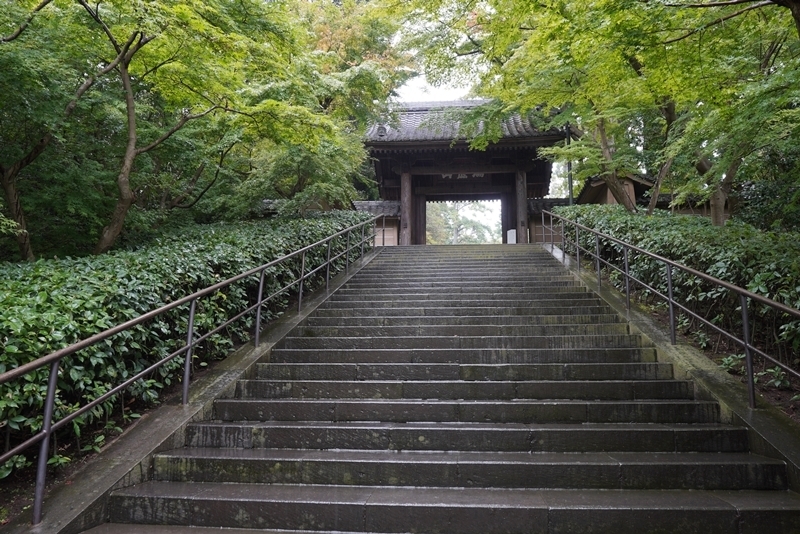 秋の北鎌倉散歩 円覚寺と亀ヶ谷坂切通しの萩_b0145398_23360847.jpg