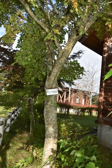 f0334599_10333253.jpg