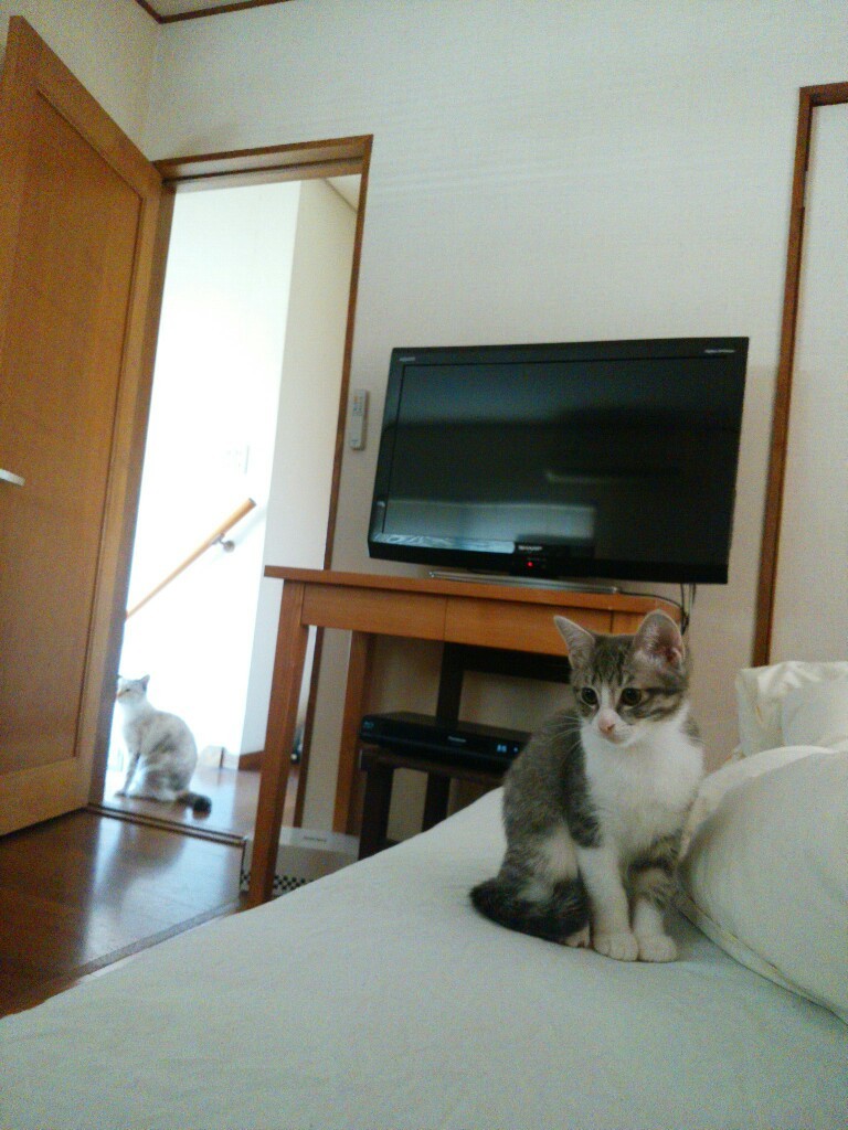 f0255704_08535405.jpg
