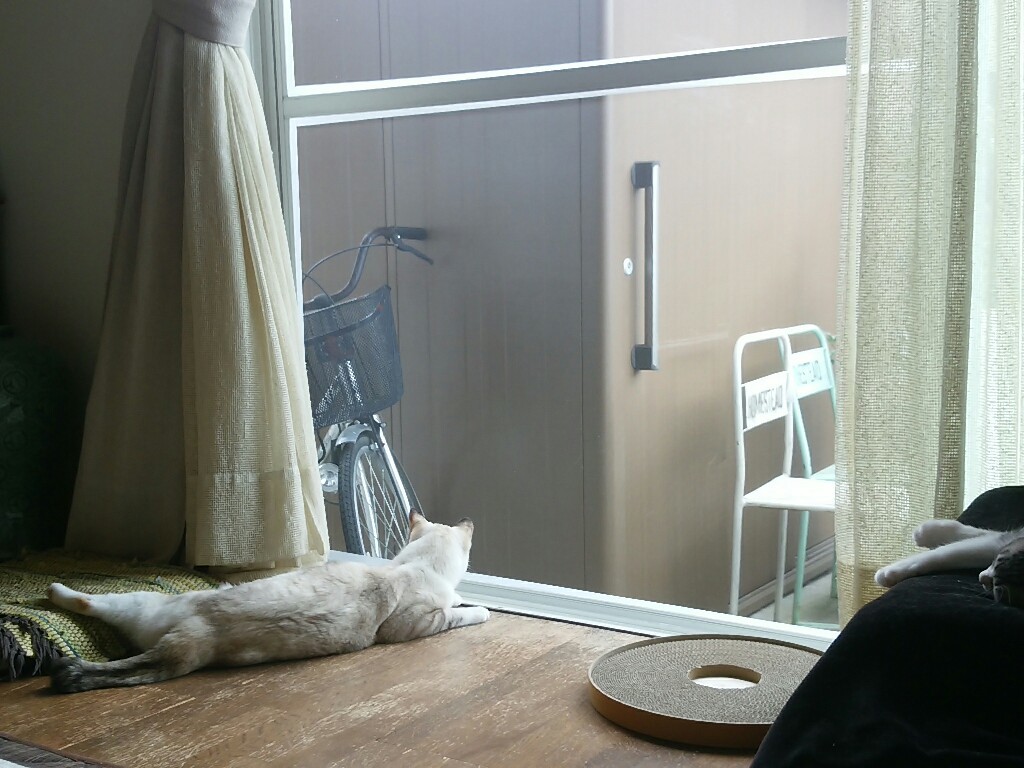 f0255704_12570904.jpg