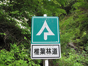 f0061705_09015299.jpg