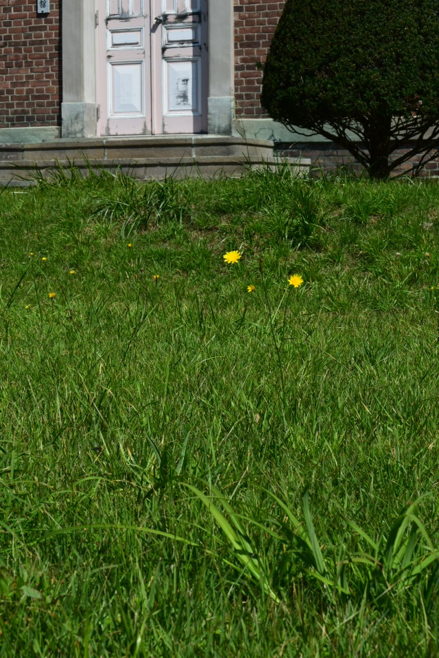 天使の聖母トラピスチヌ修道院(函館の建築再見)_f0142606_01201744.jpg