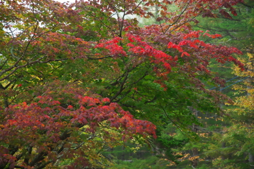 a0263109_08565528.jpg
