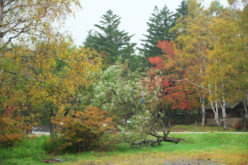 a0263109_09064906.jpg