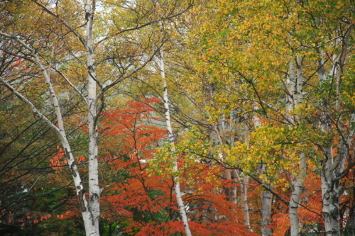 a0263109_09064921.jpg