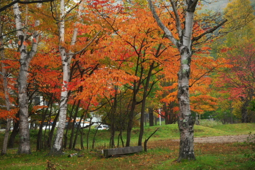 a0263109_09065141.jpg