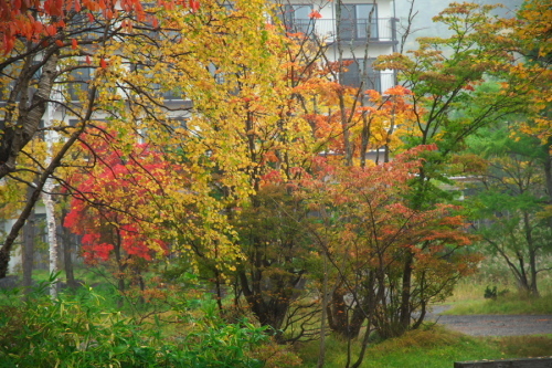 a0263109_09071804.jpg