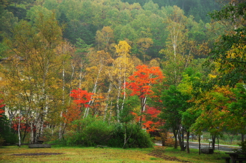 a0263109_09071933.jpg