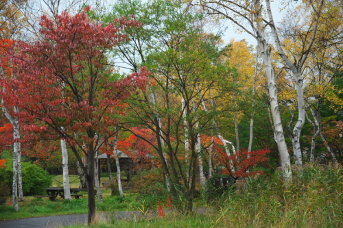 a0263109_09072010.jpg