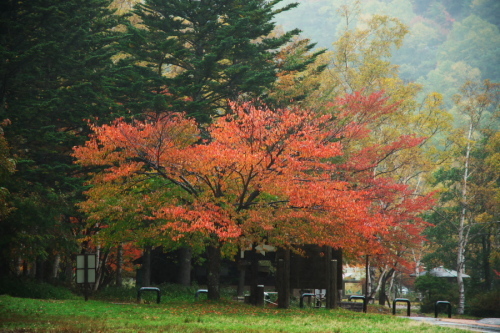 a0263109_09074599.jpg