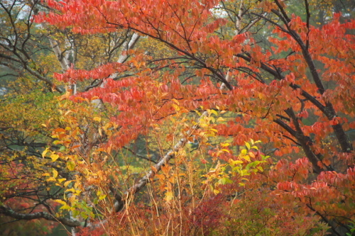 a0263109_09074651.jpg