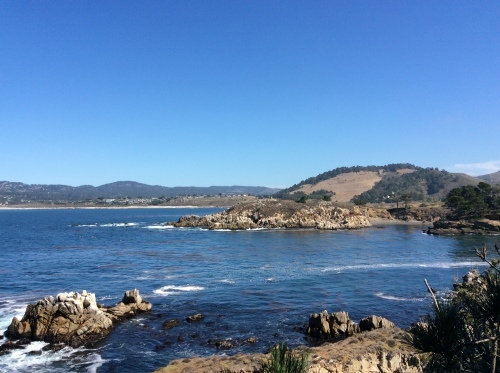 a0331910_08443354.jpeg
