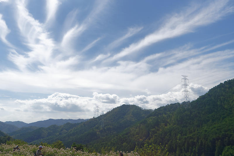 f0032011_16200780.jpg