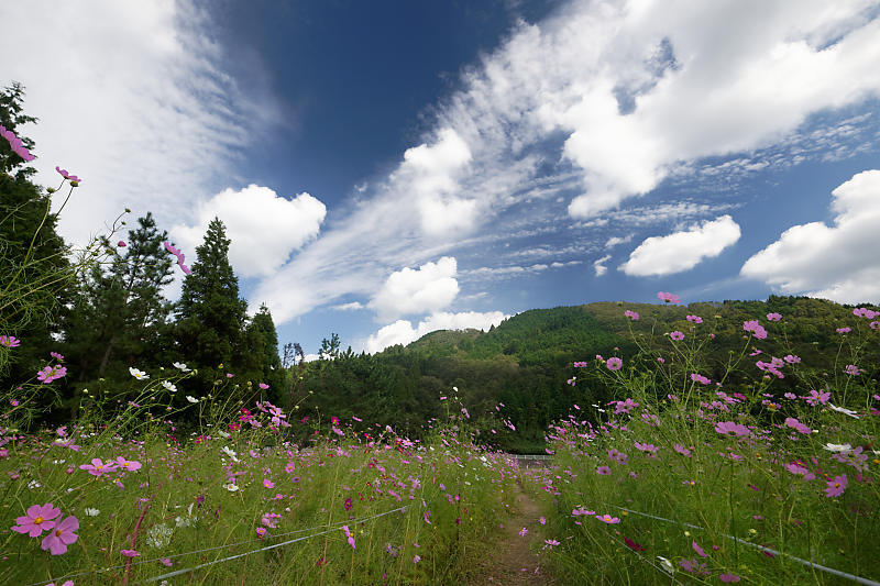 f0032011_21411704.jpg