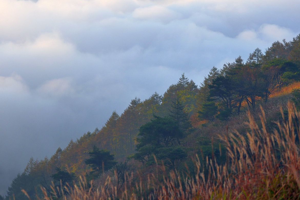１０月３日の高ボッチ。三日目の朝を迎えたが、諏訪湖盆地に大雲海出現！♪_a0031821_10212534.jpg