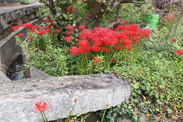 a0242438_19590116.jpg
