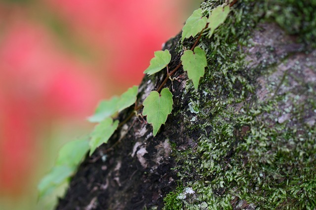 a0242438_19592417.jpg