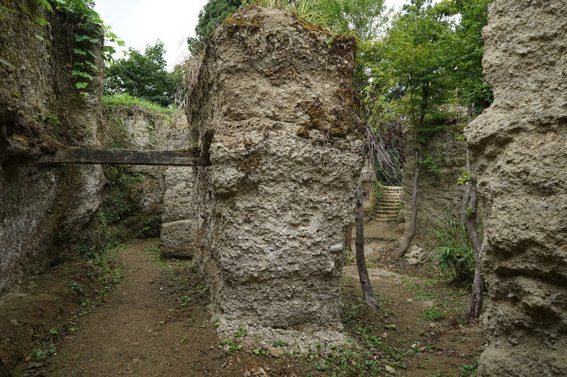 a0154448_22463541.jpg