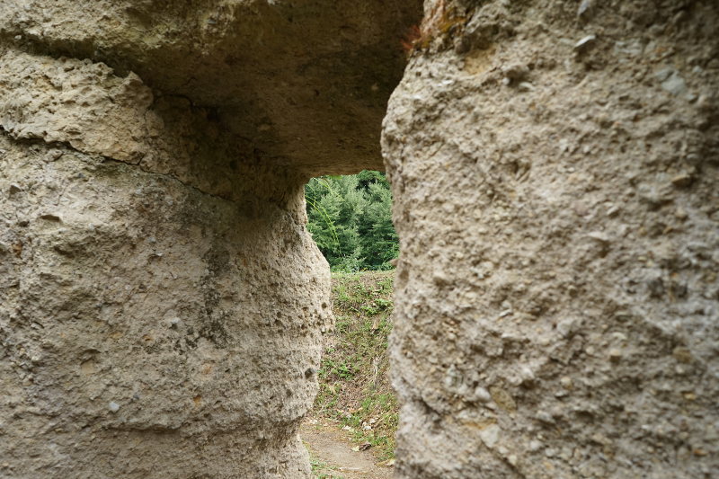 a0154448_22470450.jpg