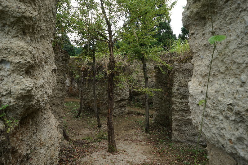 a0154448_22470896.jpg