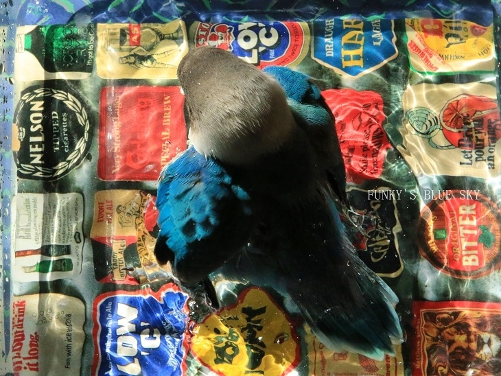 c0145250_08465722.jpg