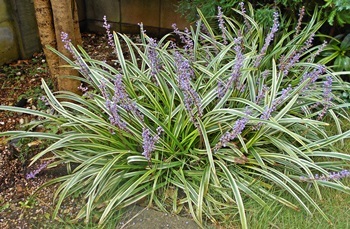 f0163250_15221434.jpg