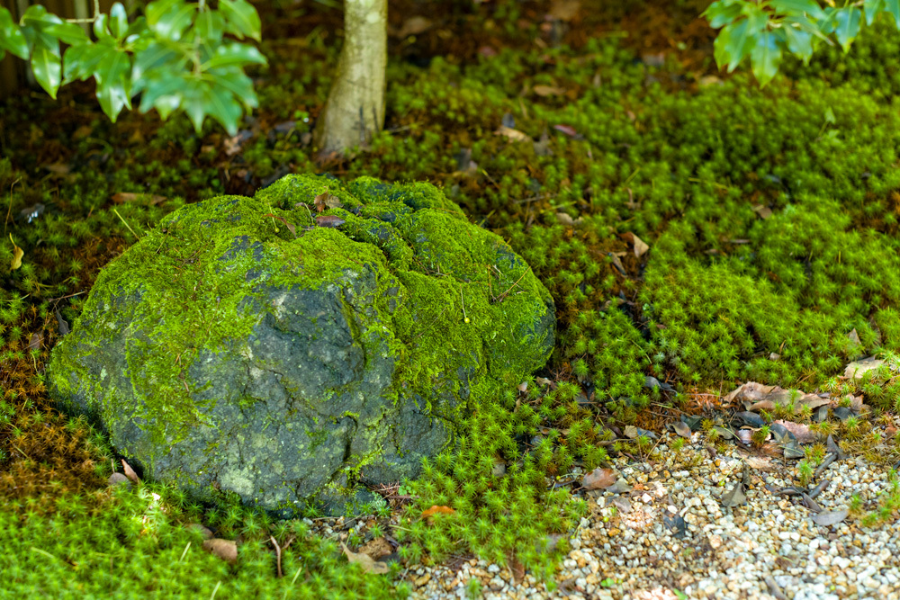 b0232952_11323328.jpg