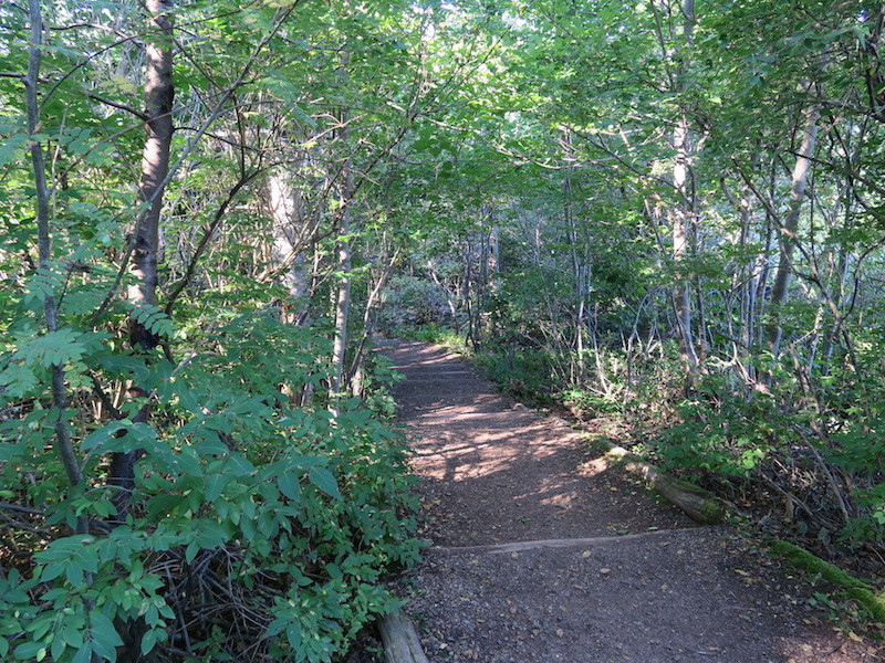 b0090654_08544852.jpg