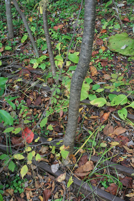 f0395158_01413680.jpg