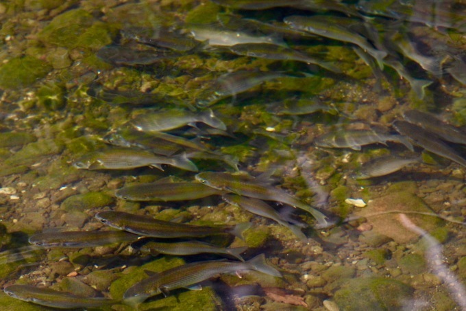 a0248459_15583090.jpg