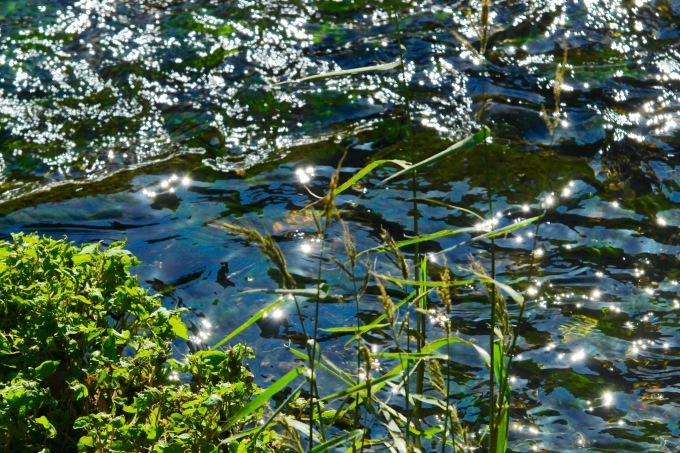 a0248459_15593250.jpg