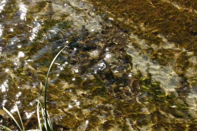 a0248459_16001440.jpg